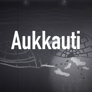 Aukkauti