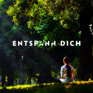 Meditiere im Nachtwald