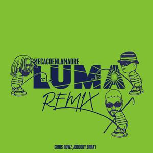 Mecagoenlamadreluma (feat. Brray) (REMIX)