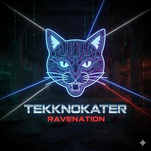 Ravenation