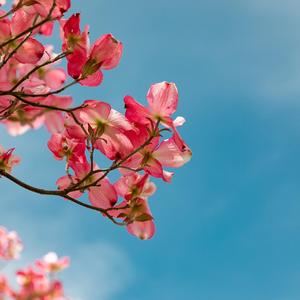 珠龙桥（钢琴版）