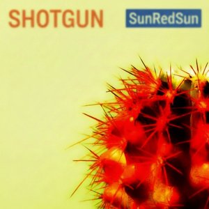 Shotgun