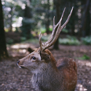 멀리 별길이 보여