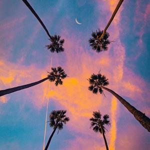 海边都市（Seaside city)