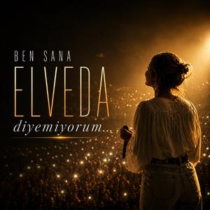 Ben Sana Elveda Diyemiyorum (live version)