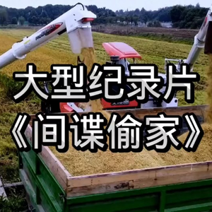 大型纪录片《间谍偷家》
