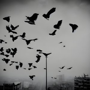 Μικρά Περιστέρια Νεκρά Περιστέρια