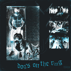 Dogs on the ring (Original Mix)