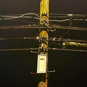 Ism (Demo from the Young Dogs Sessions)