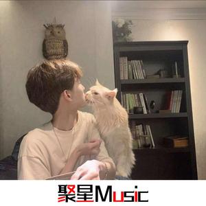 不慎火舞越南鼓(抖音DJ热搜版)