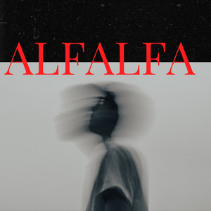 Alfalfa