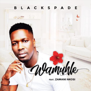 Wamuhle (feat. Zamani Nkosi)