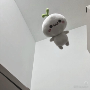 月亮是我抛的硬币