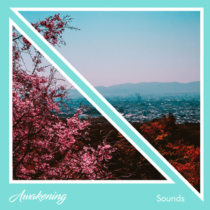 Enchanting Rain Song