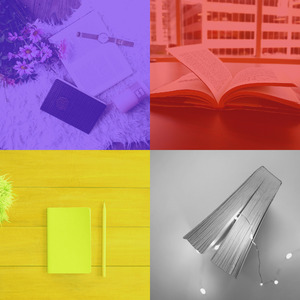 柔和的正在读书时刻