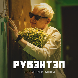 Белые ромашки