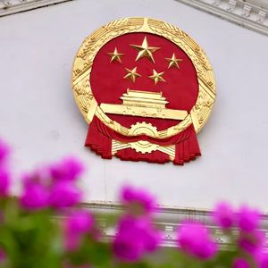 院边那簇三角梅