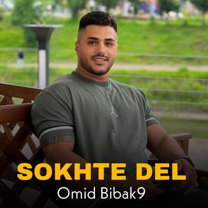Sokhte Del