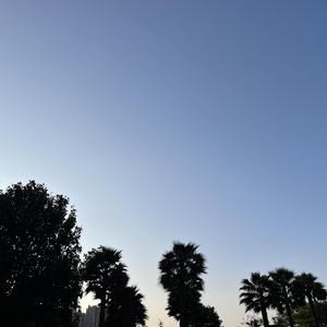 IMG_20220423_2349320
