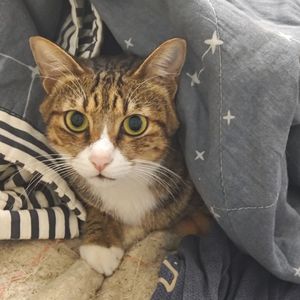 雪点[prod by FRESH_ye]