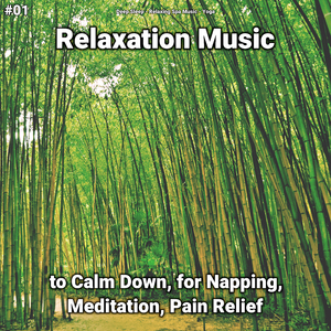 Relaxation Music, Pt. 16