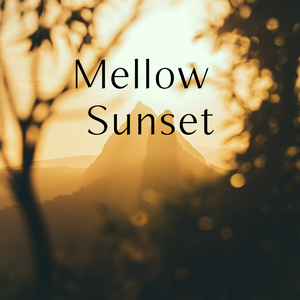 井草聖二-Mellow Sunset（20verstep Remix）
