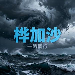 桦加沙