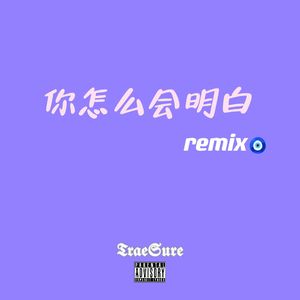 你怎么会明白remix
