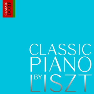 Liszt: Paganini Etude No.3 'La Campanella' (라 캄파넬라)