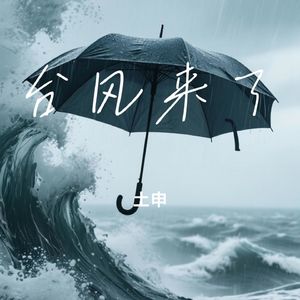 台风来了