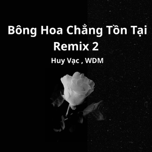 Bông Hoa Chẳng Tồn Tại Remix 2