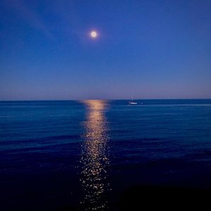 The Mirror Loves You, Baby