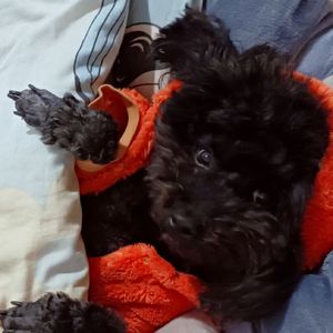 2025年9月21日19:00