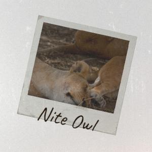 I Take a Lot of Pride in What I Am