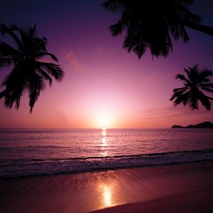 父亲写的散文诗