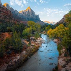 《容器》王巨星：你走后乱了四季，我久病难医