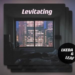 Dua Lipa-Levitating（LKEDA&LEAF Bootleg）