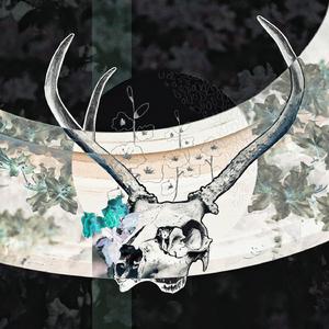 naazuk dil ~ (album version)