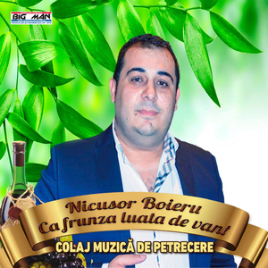 Am Plecat Candva De Jos