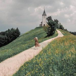 Tháng năm không trở lại