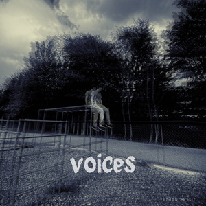 voices