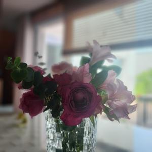 은빛의 숨 "Forme ce soir"