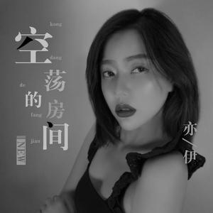 空荡的房间 (DJ沈念版)
