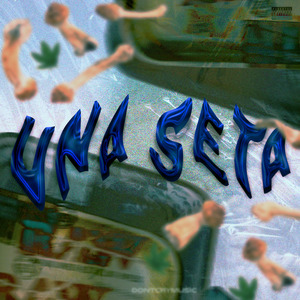 Una Seta