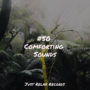 Echoes in Hibernation