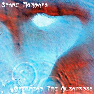 Overhead The Albatross