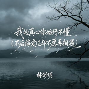 我的真心你始终不懂(不后悔爱过却不愿再相遇)