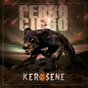 Perro Ciego