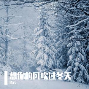 想你的风吹过冬天