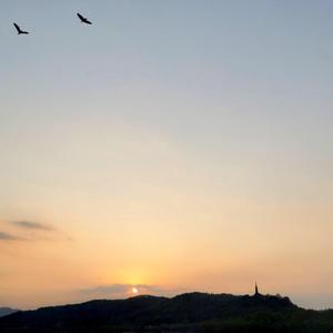 陪你去武汉大学看樱花